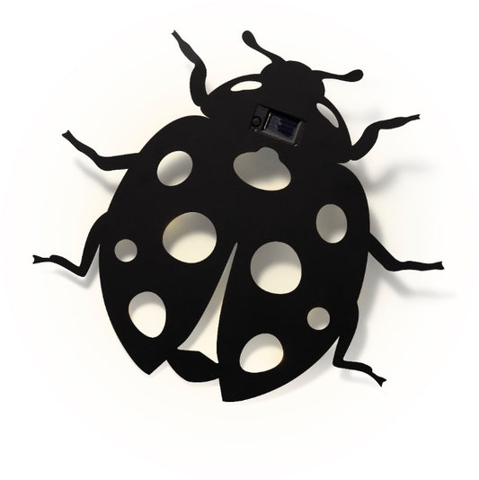 Solar Ladybird