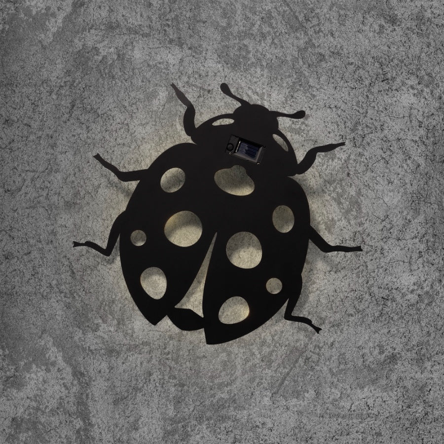 Solar Ladybird