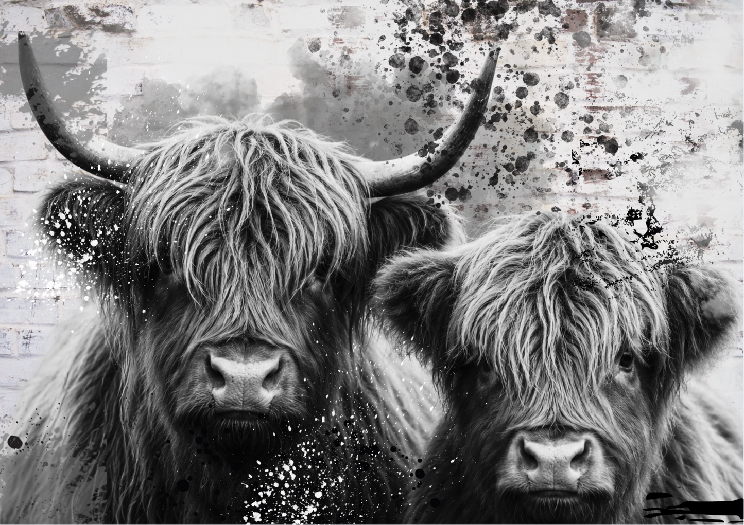 Highland Cow Couple Artwork - available in various sizes