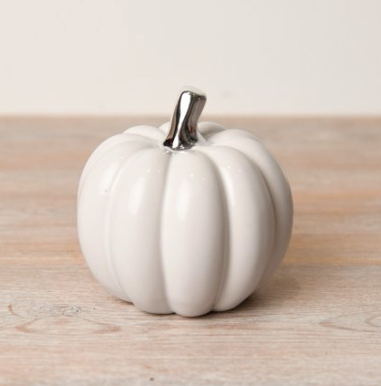 white pumpkin with silver stalk - Medium