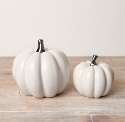 white pumpkin with silver stalk - Small