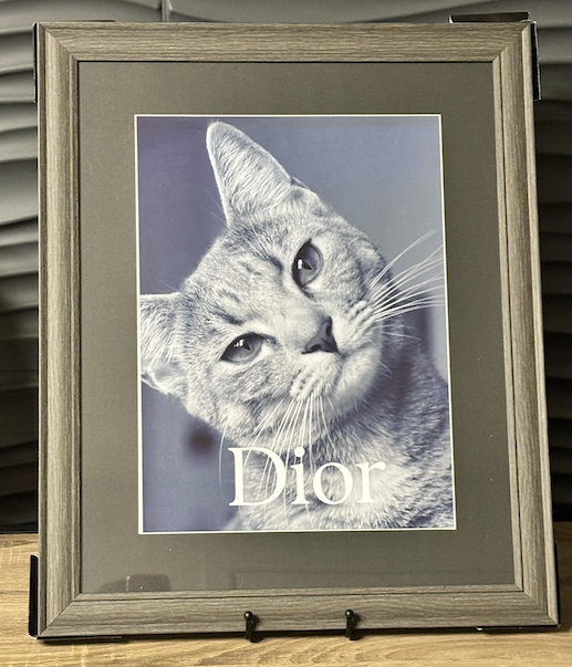 Tabby (designer inspired) Artwork