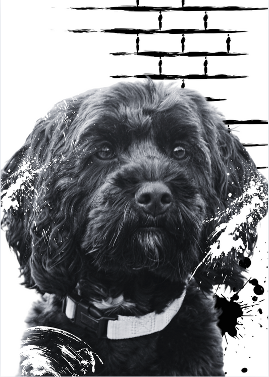 Black Cockapoo Artwork