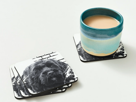 Black Cockapoo coaster