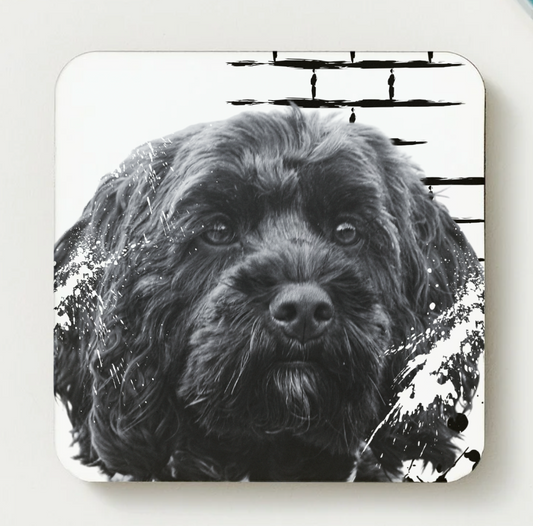 Black Cockapoo coaster