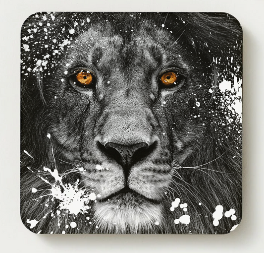 King of the Jungle coaster