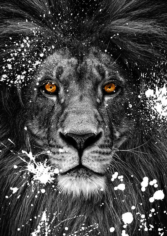 King of the Jungle print