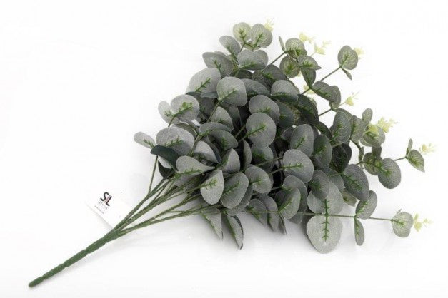 Eucalyptus bush