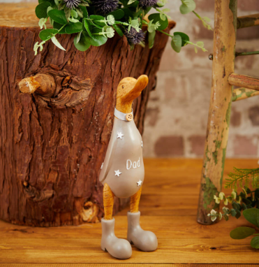 DAD DUCK