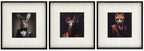 Forest Animal Head wall art - available in 3 designs