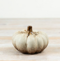 Cream Pumpkin 9 cm