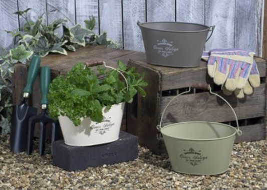 Oval Vintage Planter With Hang Tag - availble in two colours