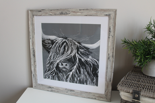 Framed Black & White Highland Cow print