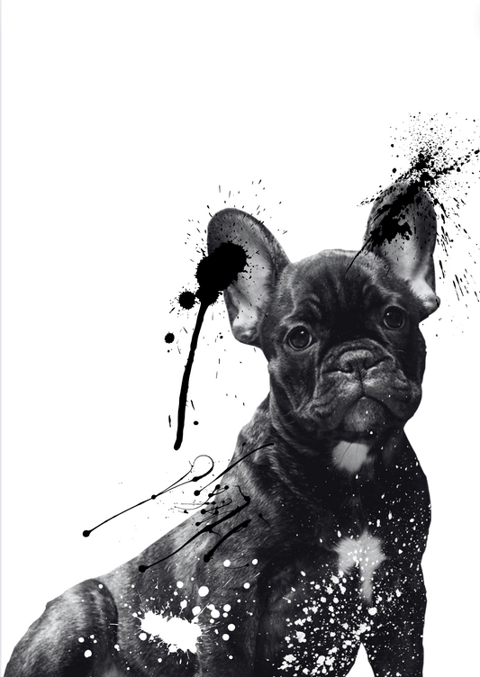 French Bulldog  print