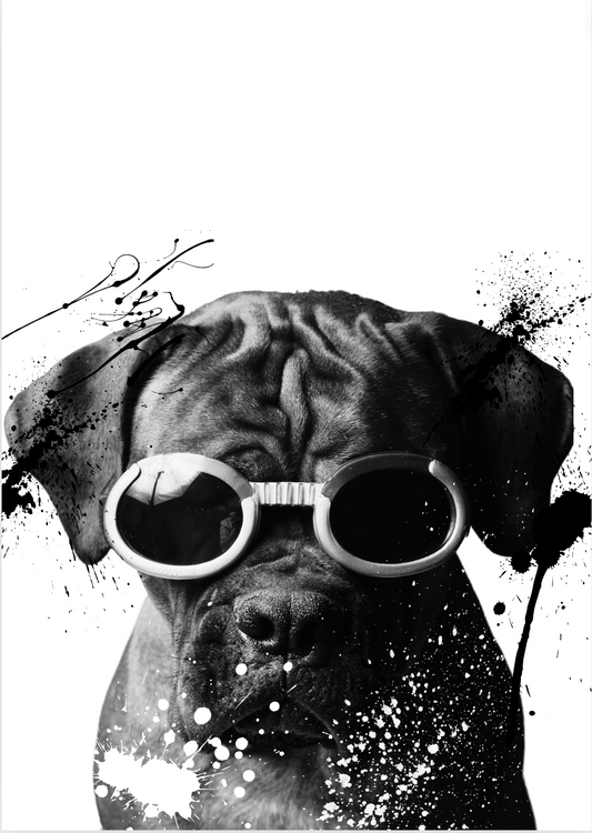 Bulldog with Glasses print