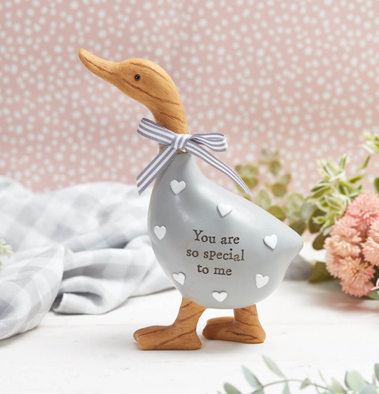 You are so Special to me' grey duck