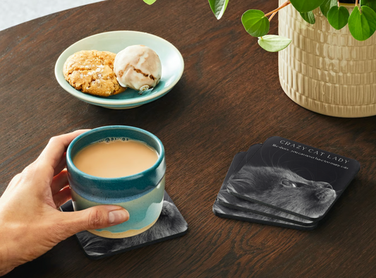 Crazy Cat Lady coaster