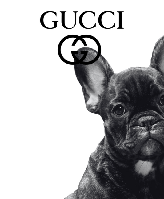 French bulldog (Designer inspired) Artwork