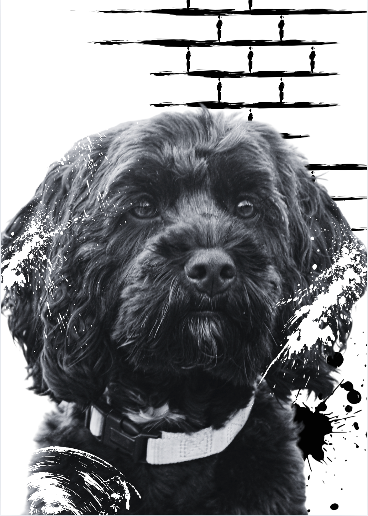 Black Cockapoo Artwork