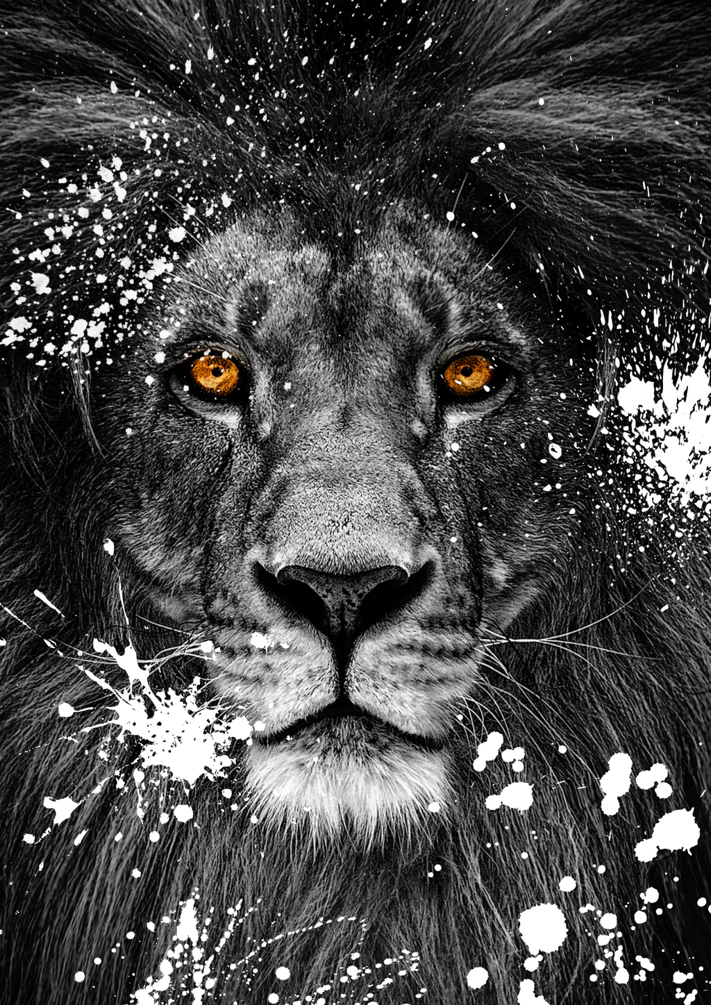 King of the Jungle print