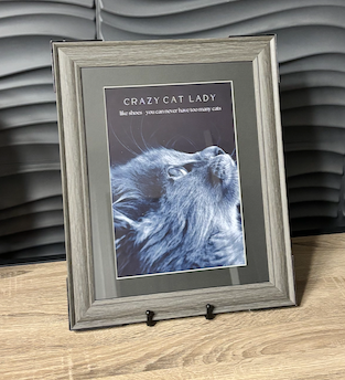 Crazy Cat Lady - Print/Frames/Coasters