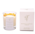 Botanical Wickless Candle For Candle Lamps : Neroli
