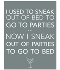 I USED TO SNEAK OUT METAL SIGN