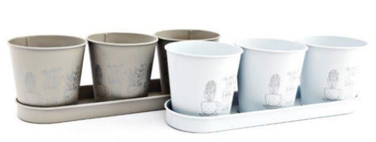 Set of 3 Printed Pots on a Tray - available in two colours