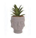 BUDDHA HEAD SUCCULENT