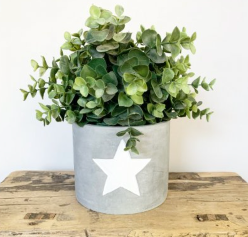 White Star Cement Planter - Medium