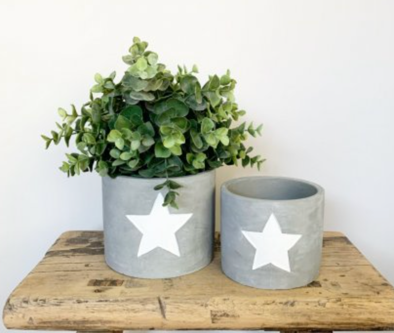 White Star Cement Planter - Medium