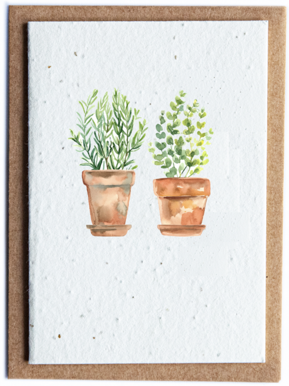 Plantable Herb Seed Card - Herb 2 Pots